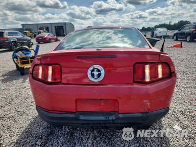 Zdjęcie 6 z 12 samochodu: 2010 FORD MUSTANG VIN:1ZVBP8AN1A5128438 - miniatura