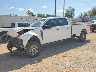 2025 FORD F250 SUPER DUTY 1FT7W2BA5SED94938 - główne zdjęcie licytacji z USA - miniatura
