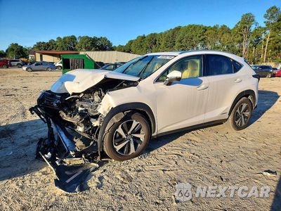 2021 LEXUS NX 300H BASE JTJGJRDZ1M5010860 - główne zdjęcie licytacji z USA - miniatura