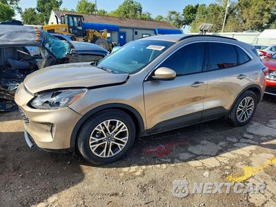 2021 FORD ESCAPE SEL 1FMCU0H66MUA57260 - główne zdjęcie licytacji z USA - miniatura