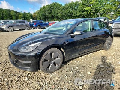 2021 TESLA MODEL 3 5YJ3E1EA0MF028426 - główne zdjęcie licytacji z USA - miniatura