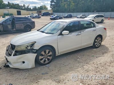 2010 HONDA ACCORD EXL 5KBCP3F86AB005859 - główne zdjęcie licytacji z USA - miniatura