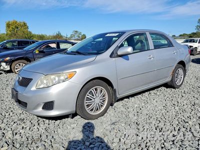 2010 TOYOTA COROLLA LE 1NXBU4EE5AZ374960 - główne zdjęcie licytacji z USA - miniatura