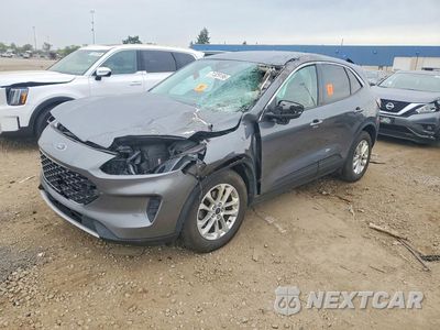 2021 FORD ESCAPE SE 1FMCU9G68MUA99502 - główne zdjęcie licytacji z USA - miniatura