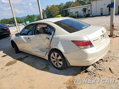 Drugie zdjęcie samochodu z przodu: 2008 HONDA ACCORD EXL VIN:1HGCP36818A029263 - miniatura