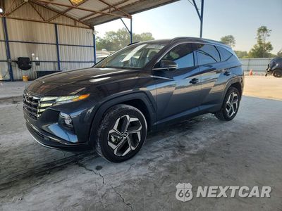 2024 HYUNDAI TUCSON LIMITED 5NMJECDE0RH339643 - główne zdjęcie licytacji z USA - miniatura