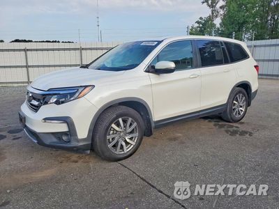 2020 HONDA PILOT EXL 5FNYF5H58LB008481 - główne zdjęcie licytacji z USA - miniatura