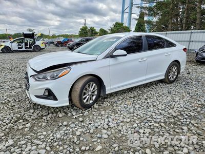 2019 HYUNDAI SONATA SE 5NPE24AF4KH795604 - główne zdjęcie licytacji z USA - miniatura