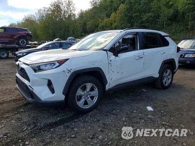 2019 TOYOTA RAV4 XLE JTMP1RFV9KD501290 - główne zdjęcie licytacji z USA - miniatura