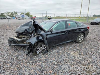 2019 HONDA ACCORD LX 1HGCV1F14KA165066 - główne zdjęcie licytacji z USA - miniatura