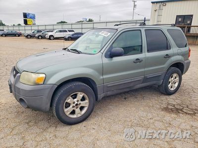 2007 FORD ESCAPE XLT 1FMYU03Z07KB18903 - główne zdjęcie licytacji z USA - miniatura