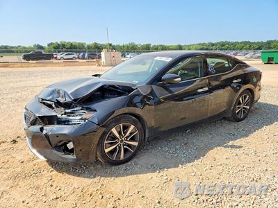 2020 NISSAN MAXIMA SV 1N4AA6CV7LC371791 - główne zdjęcie licytacji z USA - miniatura