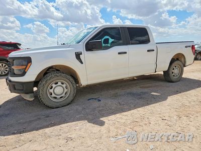 2024 FORD F150 XL 1FTFW1L86RKD04435 - główne zdjęcie licytacji z USA - miniatura