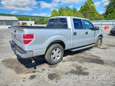 Trzecie zdjęcie samochodu z tyłu: 2013 FORD F150 SUPERCREW VIN:1FTEW1CM6DKD61770 - miniatura