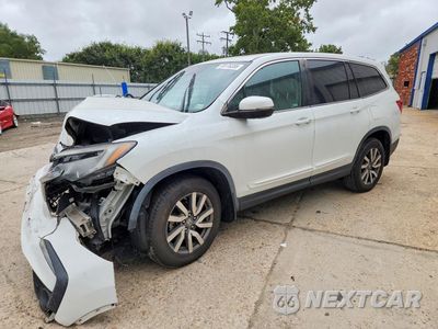 2020 HONDA PILOT EXL 5FNYF6H5XLB059941 - główne zdjęcie licytacji z USA - miniatura