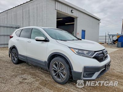 Czwarte zdjęcie samochodu z boku: 2022 HONDA CR-V EXL VIN:7FARW2H84NE025699 - miniatura