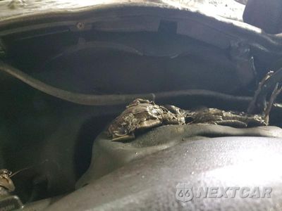 Zdjęcie 8 z 10 samochodu: 1998 DODGE ROADTREK RV VIN:2B6KB31Y5WK163120 - miniatura