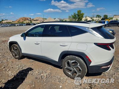 Drugie zdjęcie samochodu z przodu: 2023 HYUNDAI TUCSON LIMITED VIN:5NMJECAE8PH197981 - miniatura