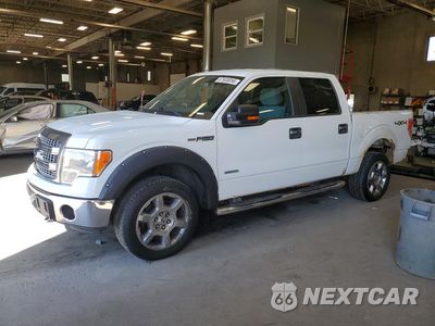 2013 FORD F150 SUPERCREW 1FTFW1ET7DKF60304 - główne zdjęcie licytacji z USA - miniatura