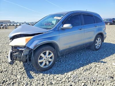 2008 HONDA CR-V EXL JHLRE387X8C027909 - główne zdjęcie licytacji z USA - miniatura