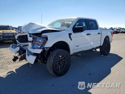 2023 FORD F150 SUPERCREW 1FTEW1EPXPFA25219 - główne zdjęcie licytacji z USA - miniatura