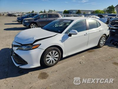 2020 TOYOTA CAMRY LE 4T1C31AK5LU017248 - główne zdjęcie licytacji z USA - miniatura