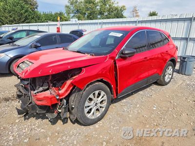 2024 FORD ESCAPE ACTIVE 1FMCU0GN3RUA24670 - główne zdjęcie licytacji z USA - miniatura