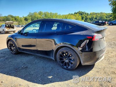 Drugie zdjęcie samochodu z przodu: 2023 TESLA MODEL Y VIN:7SAYGDEE3PF613397 - miniatura