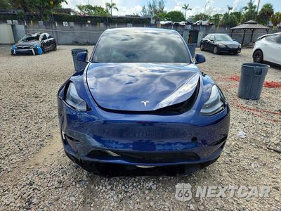 Piąte zdjęcie samochodu w środku: 2025 TESLA MODEL Y VIN:7SAYGDEDXSF226832 - miniatura