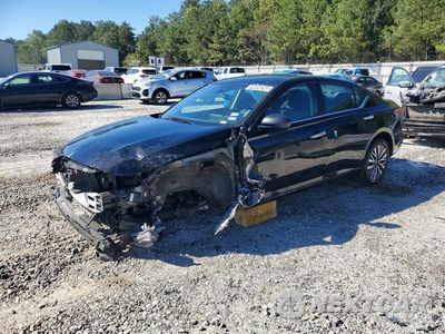 2025 NISSAN ALTIMA SV 1N4BL4DV9SN369559 - główne zdjęcie licytacji z USA - miniatura