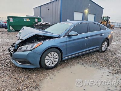 2016 HYUNDAI SONATA HYBRID SE KMHE24L15GA042112 - główne zdjęcie licytacji z USA - miniatura