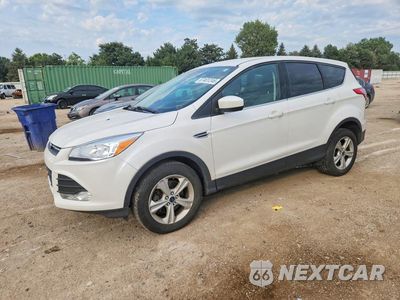 2016 FORD ESCAPE SE 1FMCU0G9XGUC75315 - główne zdjęcie licytacji z USA - miniatura