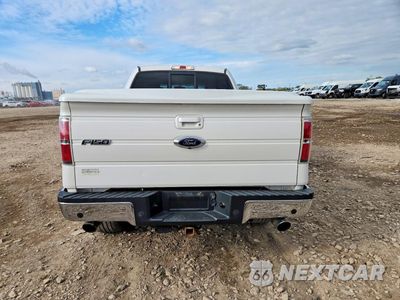 Zdjęcie 6 z 12 samochodu: 2013 FORD F150 SUPERCREW VIN:1FTFW1ET5DKG42693 - miniatura