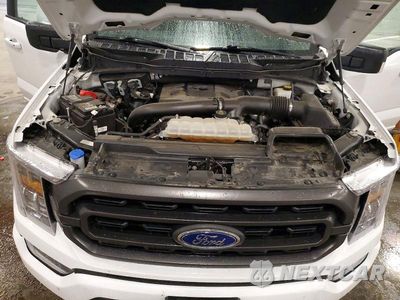 Zdjęcie 11 z 12 samochodu: 2023 FORD F150 SUPERCREW VIN:1FTFW1E86PKD00573 - miniatura