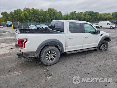 Trzecie zdjęcie samochodu z tyłu: 2019 FORD F150 RAPTOR VIN:1FTFW1RG2KFA41728 - miniatura