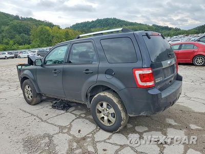 Drugie zdjęcie samochodu z przodu: 2010 FORD ESCAPE LIMITED VIN:1FMCU0EG1AKC44085 - miniatura