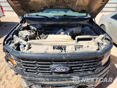 Zdjęcie 11 z 12 samochodu: 2025 FORD F150 XL VIN:1FTFX1L56SKD06422 - miniatura