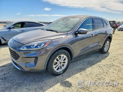 2021 FORD ESCAPE SE 1FMCU9G69MUA76858 - główne zdjęcie licytacji z USA - miniatura