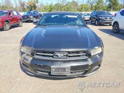 Piąte zdjęcie samochodu w środku: 2012 FORD MUSTANG VIN:1ZVBP8EM0C5279999 - miniatura
