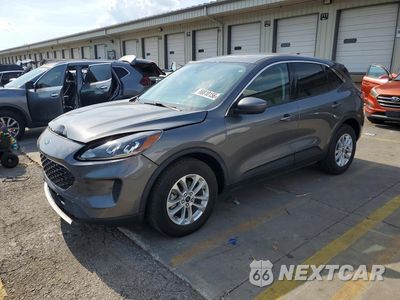 2021 FORD ESCAPE SE 1FMCU9G66MUA13586 - główne zdjęcie licytacji z USA - miniatura