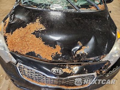 Zdjęcie 11 z 12 samochodu: 2014 KIA FORTE EX VIN:KNAFX4A82E5157599 - miniatura