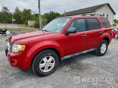 2011 FORD ESCAPE XLT 1FMCU0D76BKB57964 - główne zdjęcie licytacji z USA - miniatura