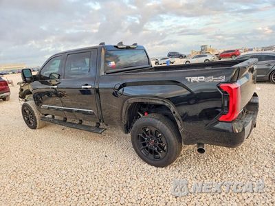 Drugie zdjęcie samochodu z przodu: 2025 TOYOTA TUNDRA 1794 EDITION VIN:5TFMA5EC8SX045521 - miniatura