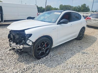 2024 ALFA ROMEO STELVIO TI ZASPAKBN8R7D72097 - główne zdjęcie licytacji z USA - miniatura