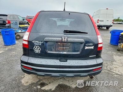 Zdjęcie 6 z 14 samochodu: 2011 HONDA CR-V SE VIN:5J6RE4H48BL115190 - miniatura