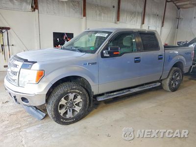 2013 FORD F150 SUPERCREW 1FTFW1EF3DFB74319 - główne zdjęcie licytacji z USA - miniatura