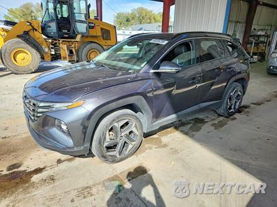 2024 HYUNDAI TUCSON LIMITED 5NMJECDEXRH305564 - główne zdjęcie licytacji z USA - miniatura