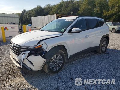 2022 HYUNDAI TUCSON BLUE KM8JBCA11NU081819 - główne zdjęcie licytacji z USA - miniatura