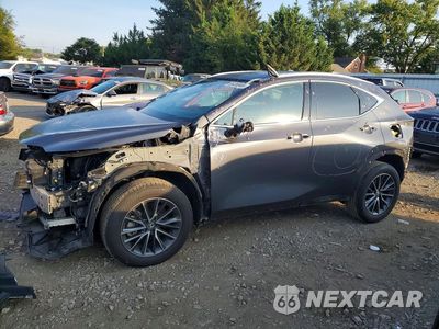 2024 LEXUS NX 350 PREMIUM 2T2GGCEZ5RC045453 - główne zdjęcie licytacji z USA - miniatura