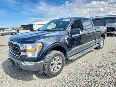 2021 FORD F150 SUPERCREW 1FTFW1E51MFA26919 - główne zdjęcie licytacji z USA - miniatura